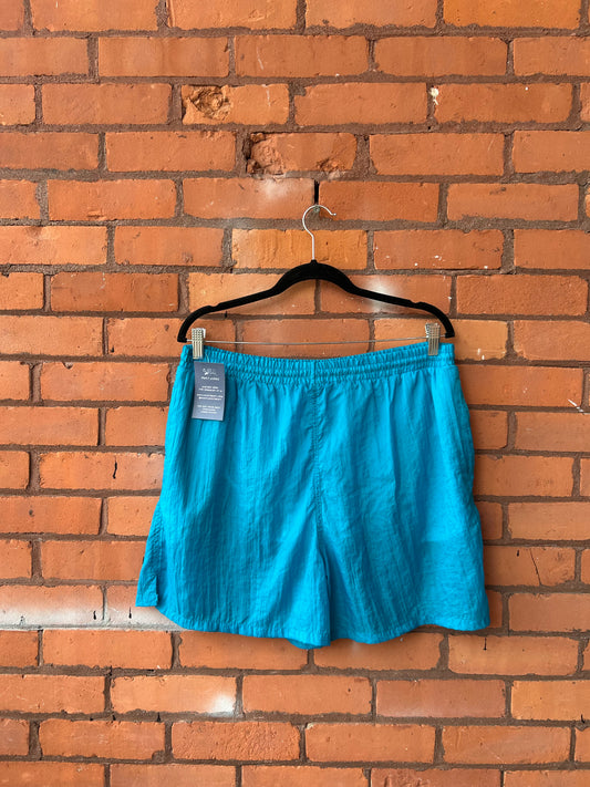 90’s Vintage Blue Swim Shorts / 32-38 Waist