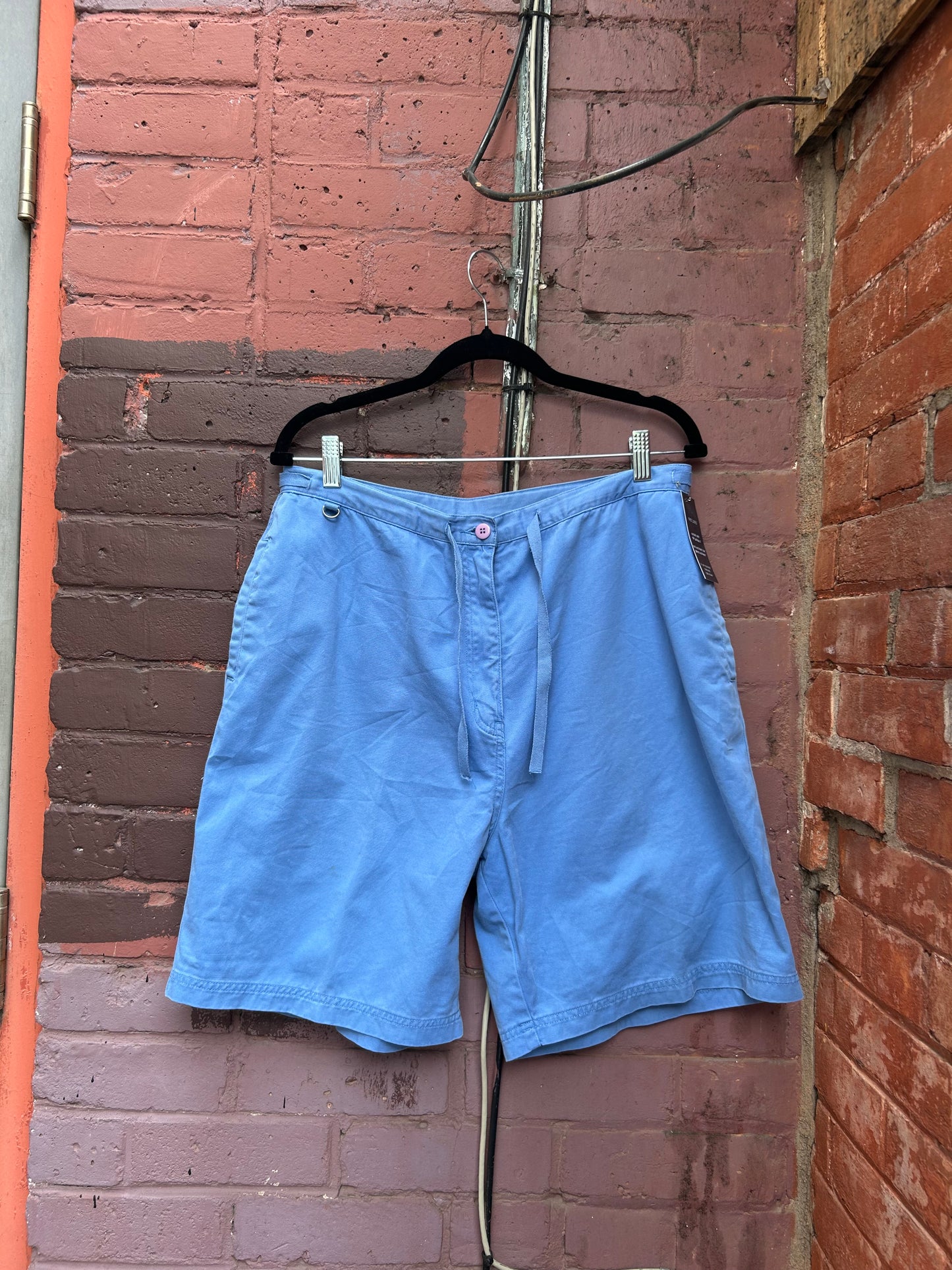 90's Vintage Sky Blue Cotton Shorts / 34 Waist
