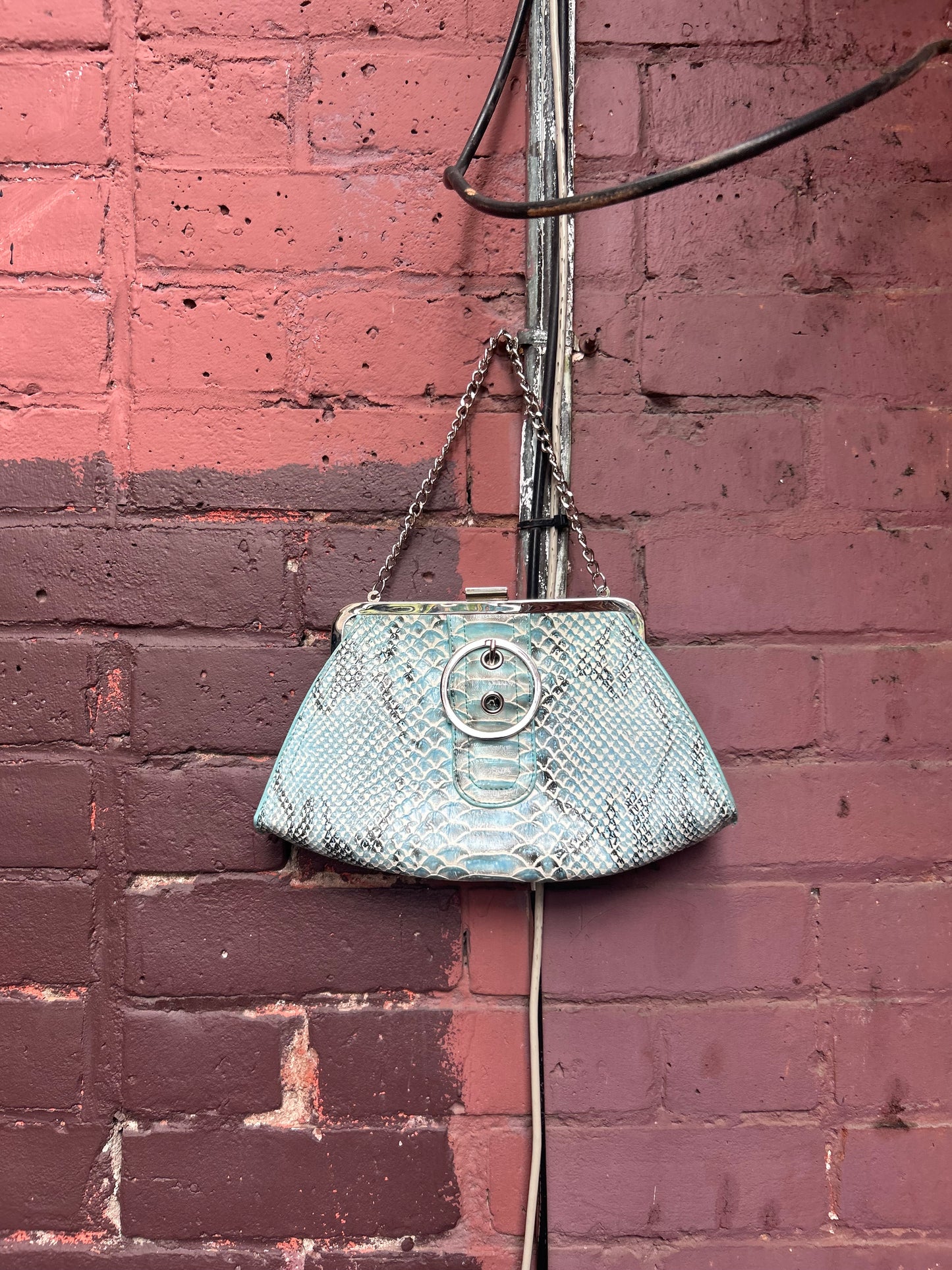 Y2K Vintage Blue Snake Print Leather Chain Purse